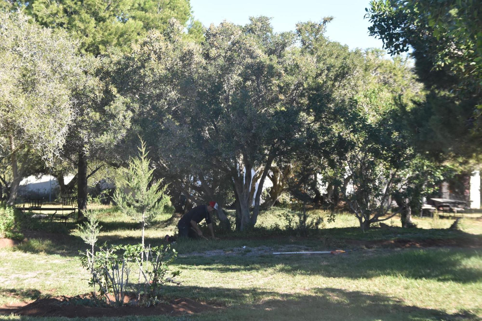 Domaine De L'Arganeraie Hotel Ghazoua Bagian luar foto
