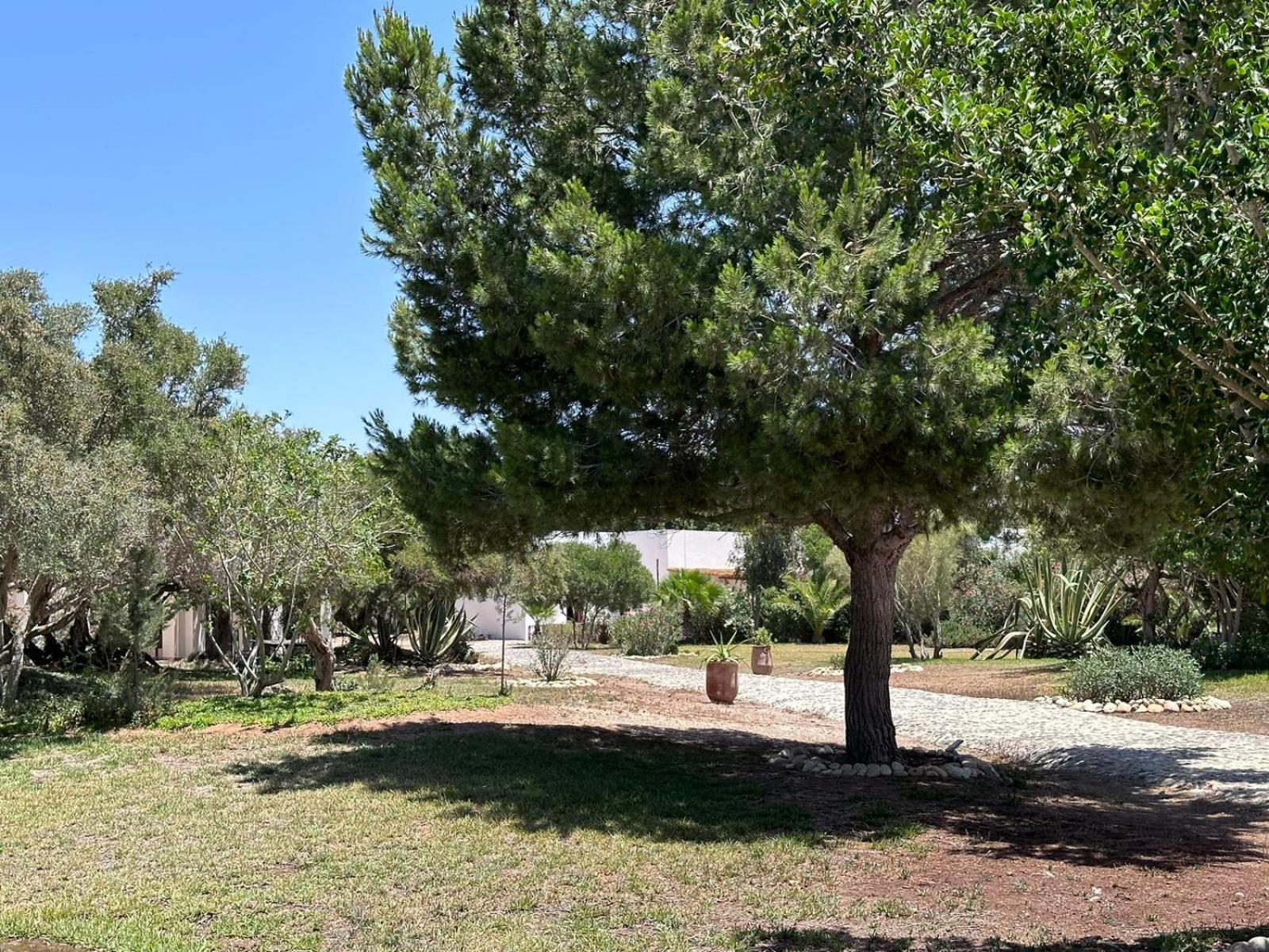 Domaine De L'Arganeraie Hotel Ghazoua Bagian luar foto